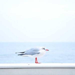 电子游戏百科